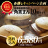 長崎県産豚肉の角煮まん 10個入 キャンペーン企画